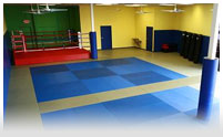 Gracie Barra Sandlake